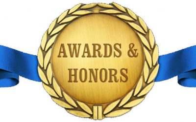 Does your website design win awards? Or does it win business?